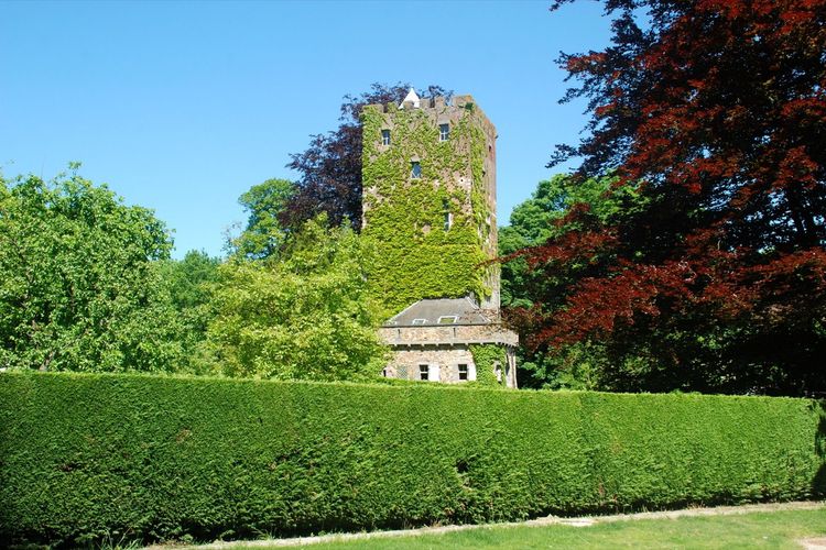 Donjon de Bierbais à Hévillers